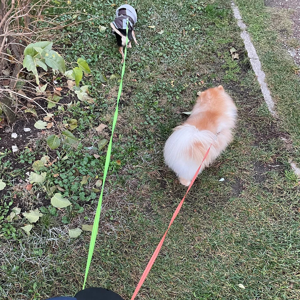 Auto Retractable Double Ended Dog Leash 3m with LED Flashlight Waste Bag Box